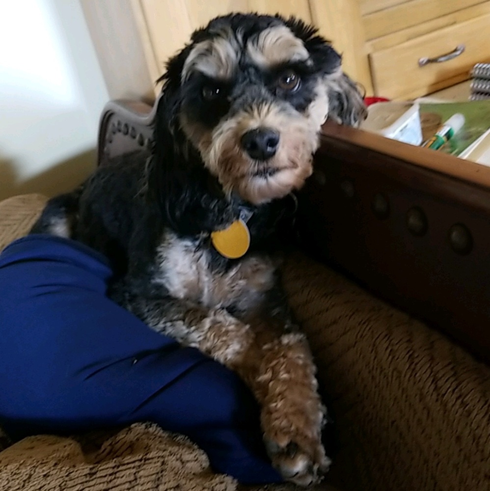 Meet your Posher, Fiona